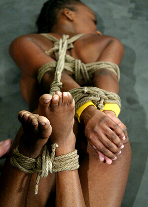 Hogtied Yellow Kitty Galariya Bondage Blue Boons