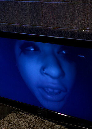 Maestro Skin Diamond jpg 12