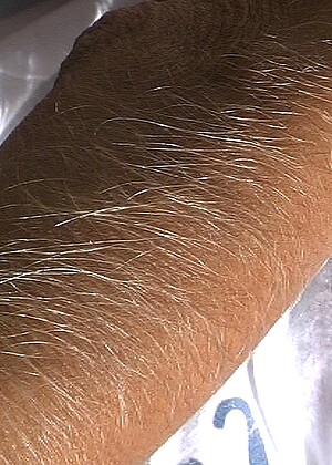 Hairyarms Lori Anderson Sd Hairy Photos Sugermummies