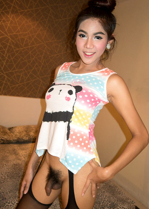 Ladyboysfuckedbareback Ladyboysfuckedbareback Model Awesome Tranny Package